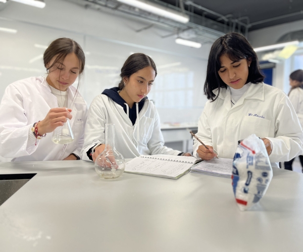 Middle School Toluca 